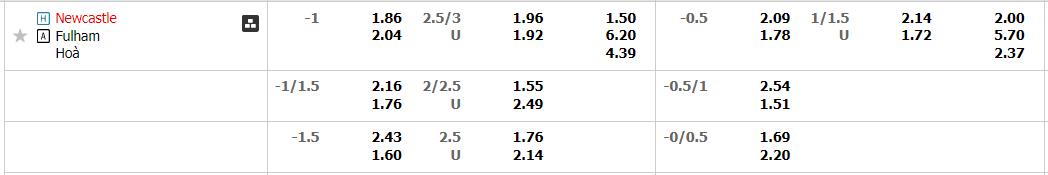 newcastle-vs-fulham-21h00-ngay-15-1-2023-2