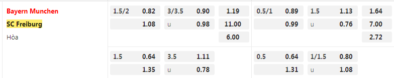 Tỷ lệ kèo Bayern vs Freiburg
